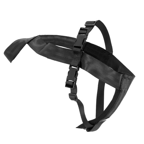 Bilsele for hund – Billy sikkerhetssele