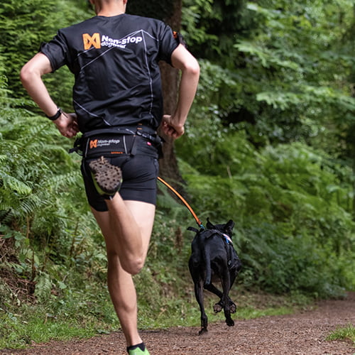 Bungee leash – langt elastisk hundekobbel fra Non-Stop