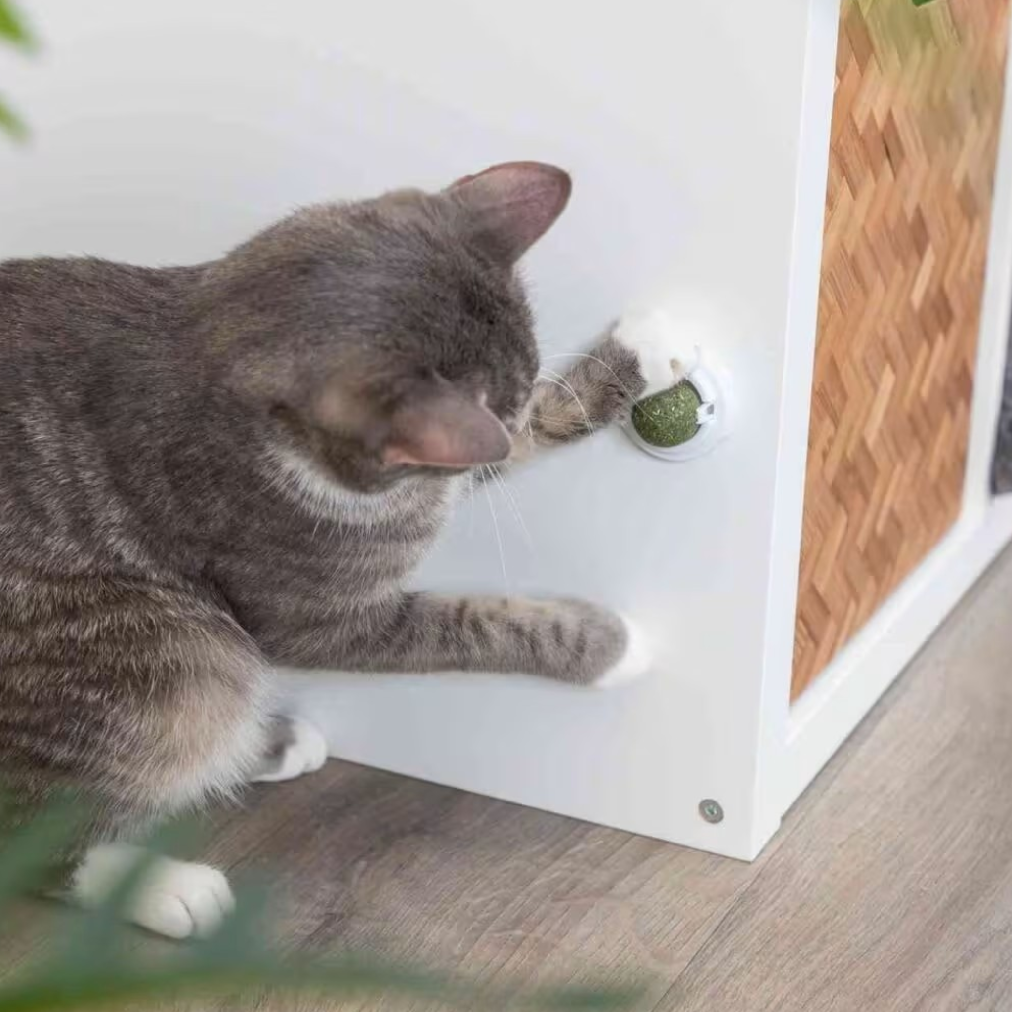 Trixie kattemynteball med holder – Catnip Ball 5 cm