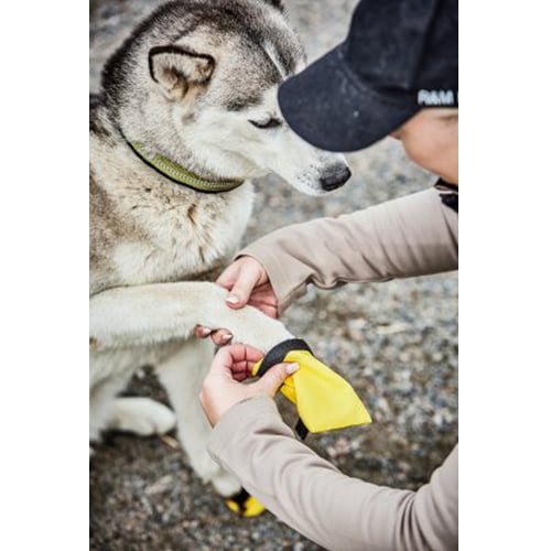 Hundesokker Taslon Active 2 stk - Kennel Equip