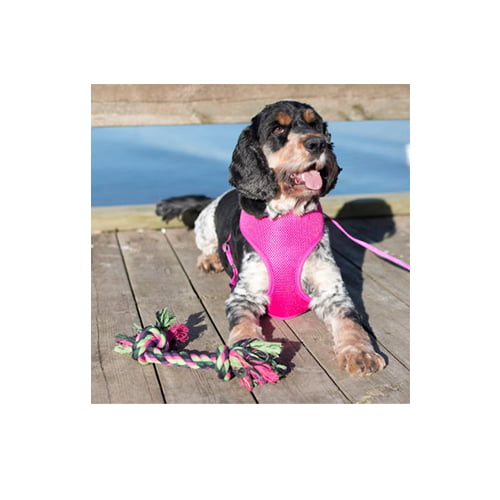 Meshsele Iris Rosa XS-L