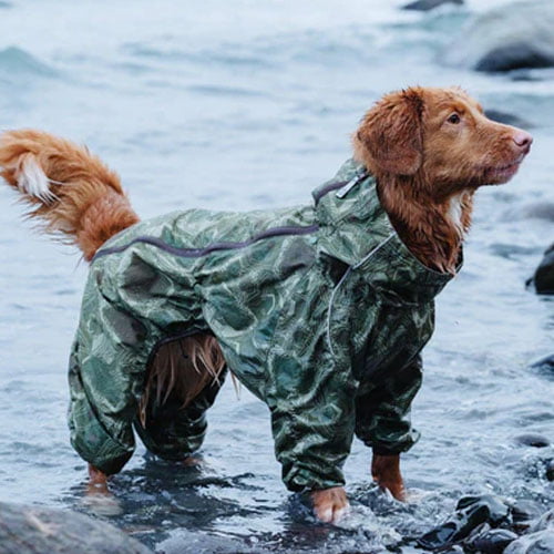 Hurtta Downpour Suit - regndress til hund