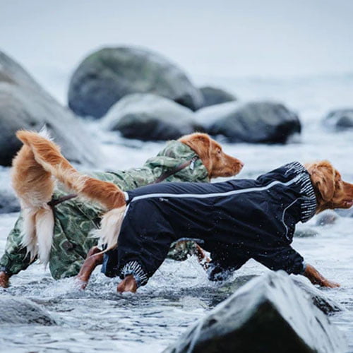 Hurtta Downpour Suit - regndress til hund