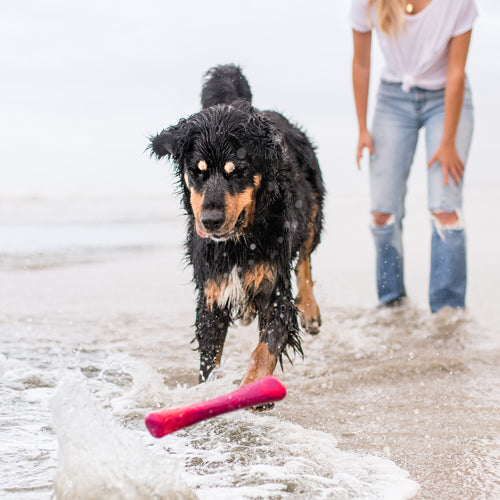 Drifty fra West Paw – perfekt for drakamp og tygging