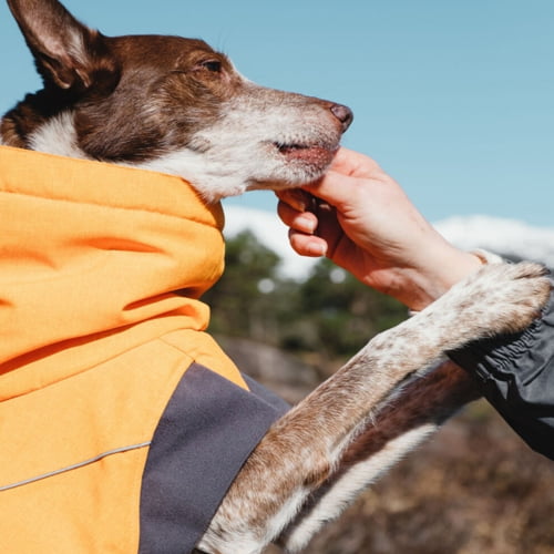 Hurtta Expedition Parka - varmedekken til hund