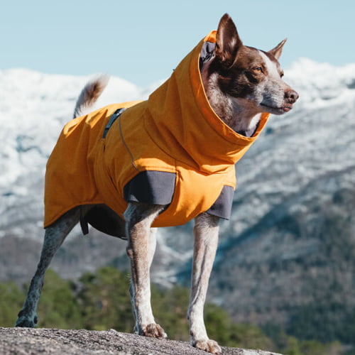 Hurtta Expedition Parka - varmedekken til hund