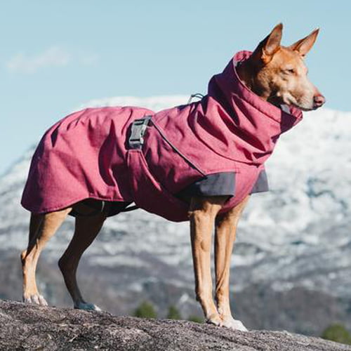 Hurtta Expedition Parka - varmedekken til hund