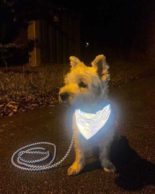 Roffe Refleks-skjerf til hund