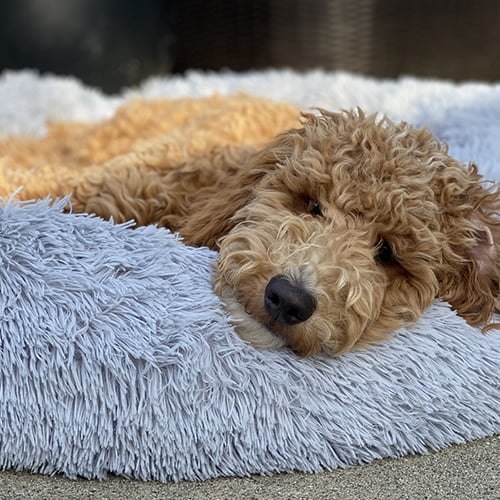 Beroligende Fluffy seng