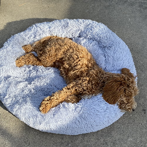 Beroligende Fluffy seng