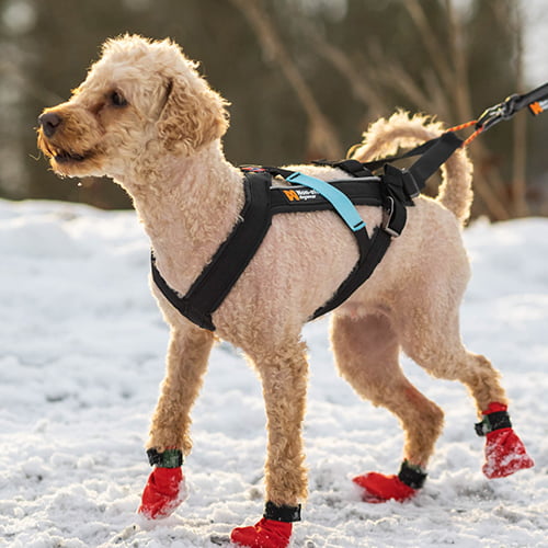 Non-stop Freemotion trekksele