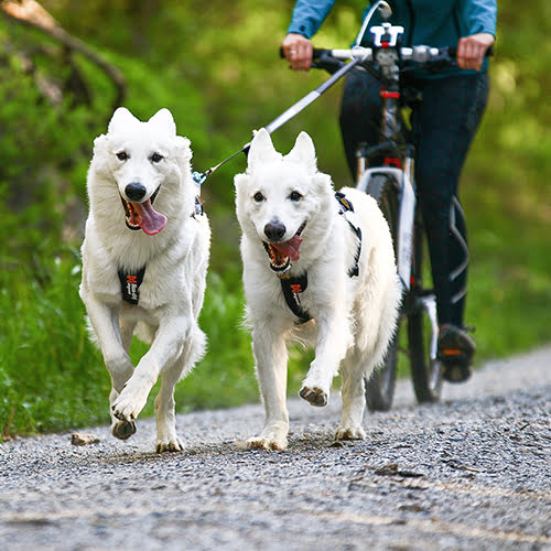 Non-stop Freemotion trekksele