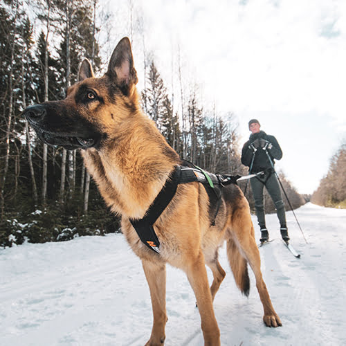 Non-stop Freemotion trekksele