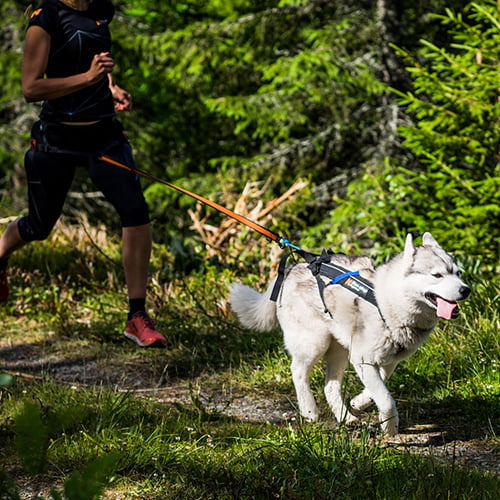 Non-stop Freemotion trekksele