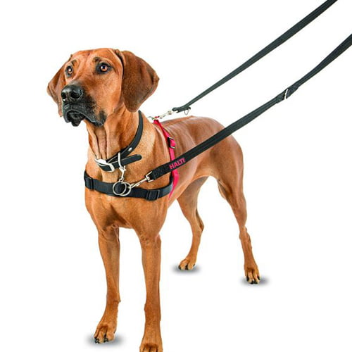 Halti training lead/treningskobbel