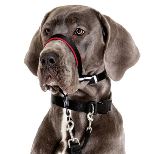 Halti Optifit - antitrekkgrime til hund