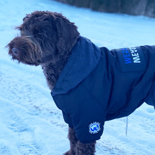 Heldress - Jakke og Bukse i én