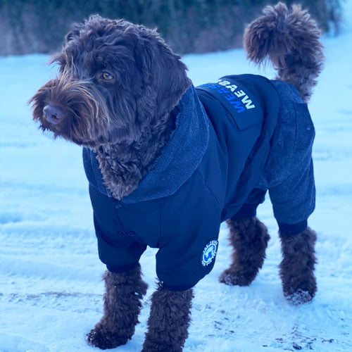 Heldress - Jakke og Bukse i én