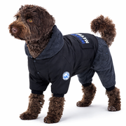 Heldress til hund – jakke og bukse i én (Weasome)