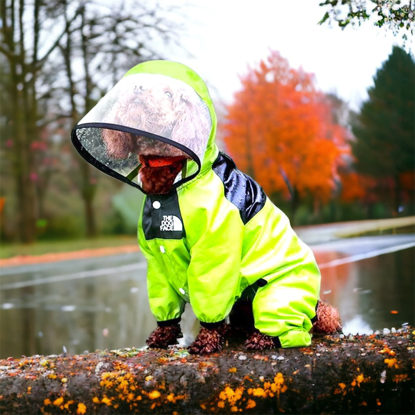 Regndress til hund – vanntett dress med hette og justerbar passform