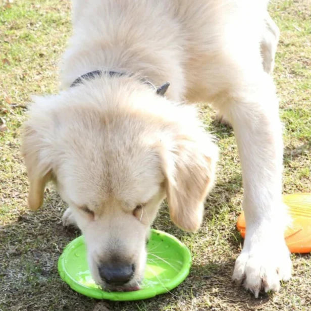 Hundefrisbee i naturgummi – myk apportleke