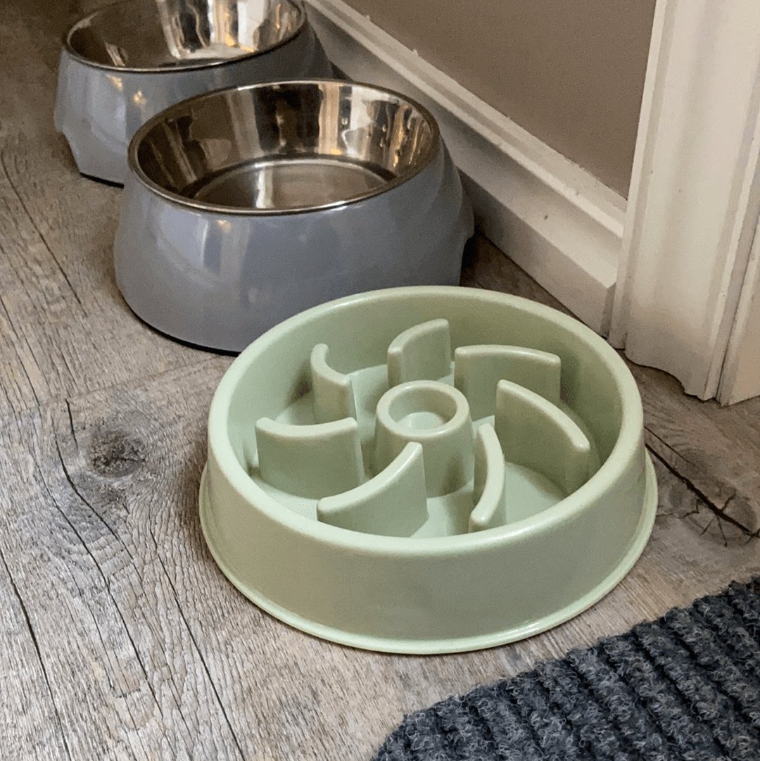 Slow Feeder - Hund som spiser fort -Mat til aktivitet - Hundevennen