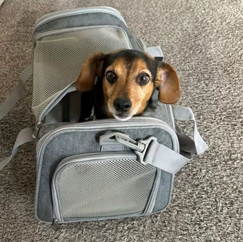 Transportbag til hund og katt – reisebag med netting