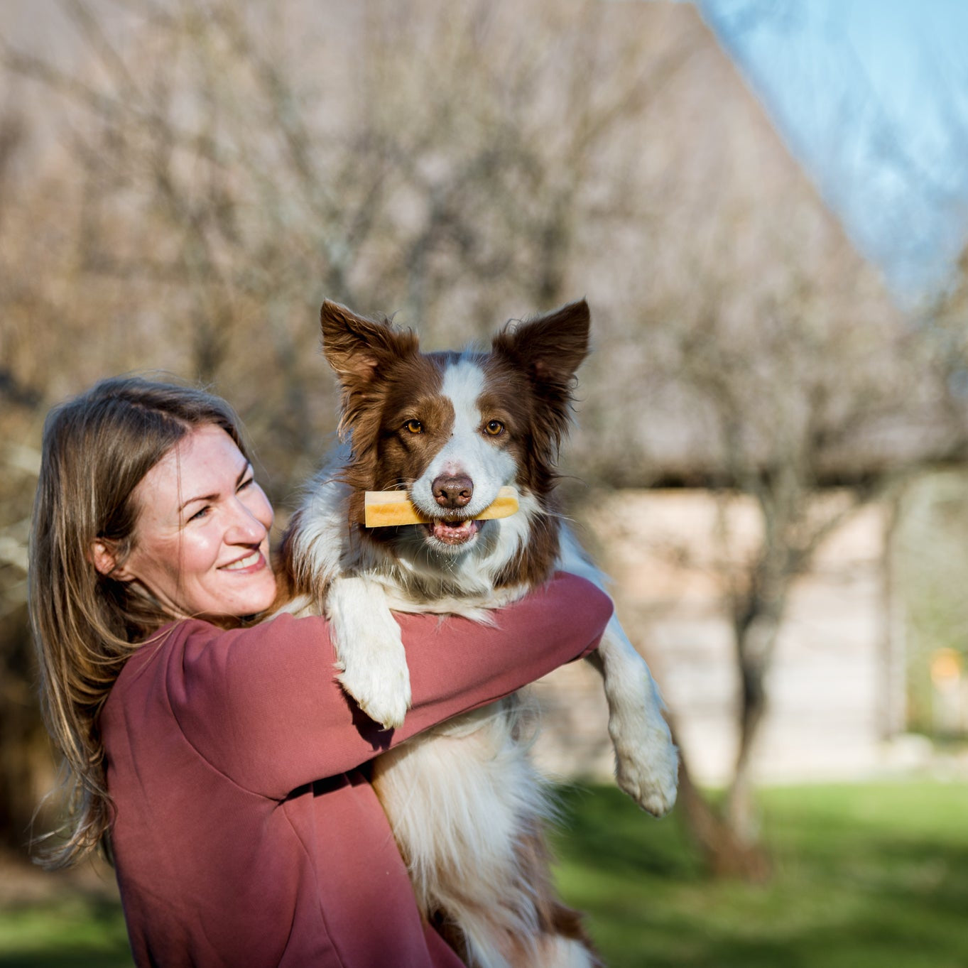 Hi! Dog Chews – Smaksatte ostetygger til hund (Dill & Gurkemeie, S–XL)