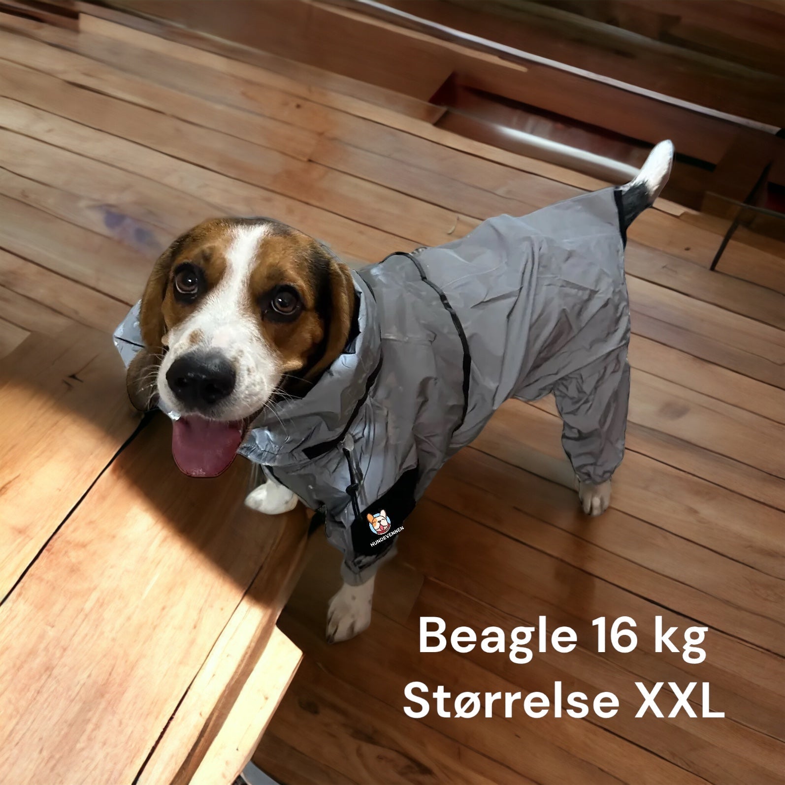 Refleks regndress til hund for bedre synlighet i mørke
