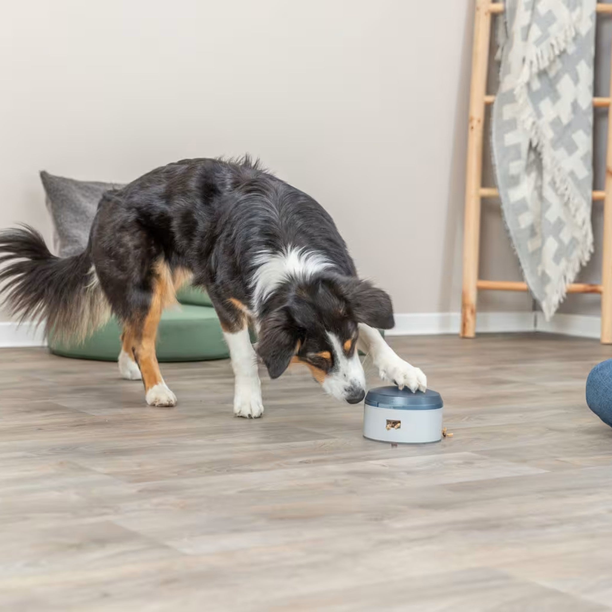 Hundebuzzer for trening – Dog Activity Level 1