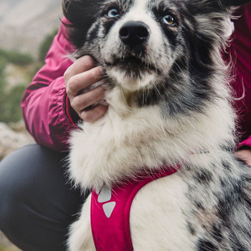 Hurtta sele Active - sand