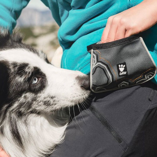 Godbitpose - Hurtta Trick Pocket