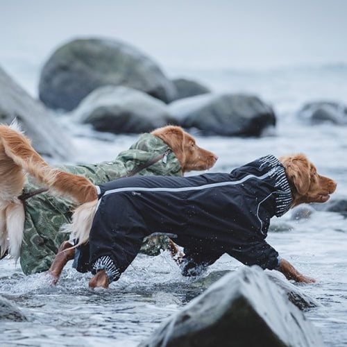 Hurtta Downpour Suit - regndress til hund