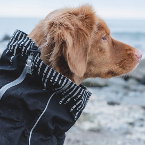 Hurtta Rain Blocker – regndekken til hund