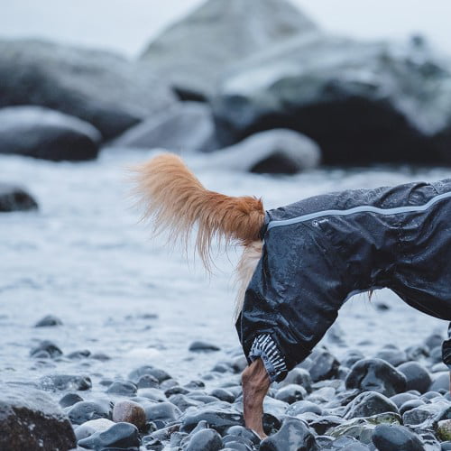 Hurtta Downpour Suit - regndress til hund