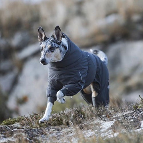 Hurtta Extreme overall varmedekken - Blackberry