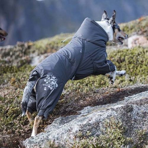 Hurtta Extreme overall varmedekken - Blackberry