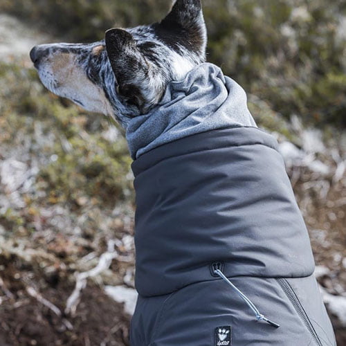 Hurtta Extreme overall varmedekken - Blackberry