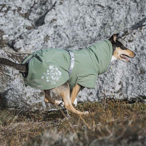 Hurtta hundedekken Extreme Warmer eco hedge