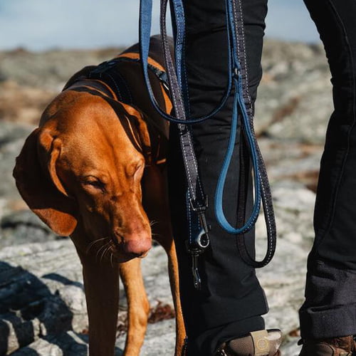 Hurtta hundebånd/-kobbel casual med refleks
