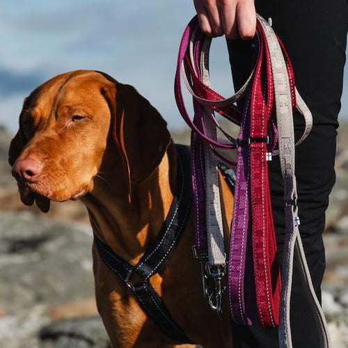 Hurtta hundebånd/-kobbel casual med refleks