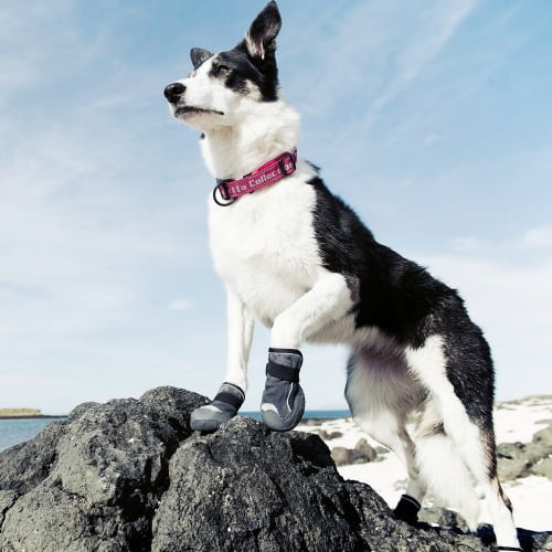 Hurtta Boots hundesko 2 pk