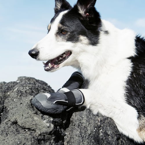 Hurtta Boots hundesko 2 pk