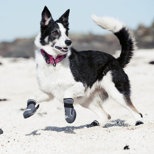 Hurtta Boots hundesko 2 pk