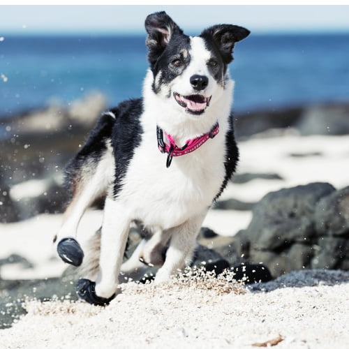 Hurtta Boots hundesko 2 pk