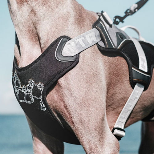 Hurtta sele Trail - sand