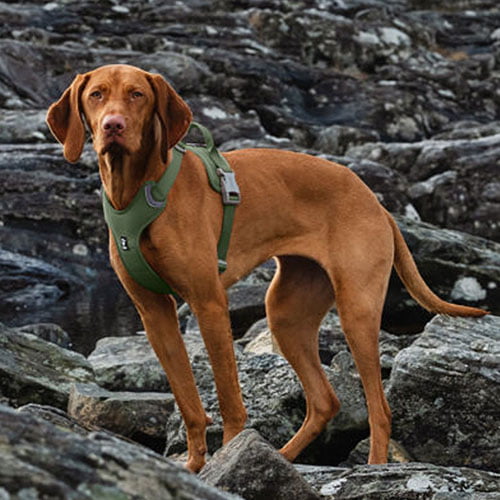 Hurtta hundesele Weekend Warrior – Eco