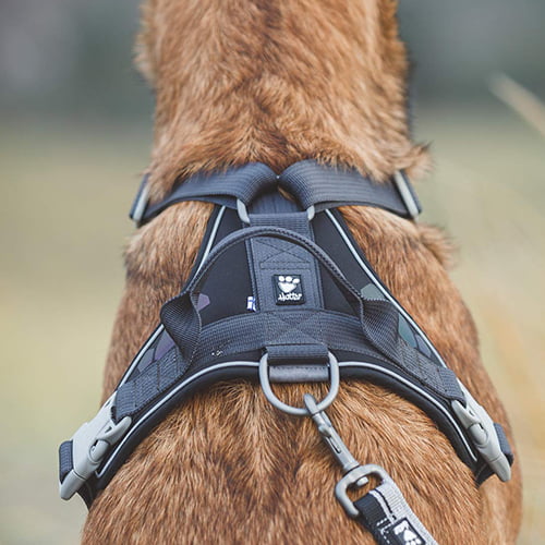 Hurtta hundesele Weekend Warrior – Sort