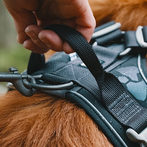 Hurtta hundesele Weekend Warrior – Sort