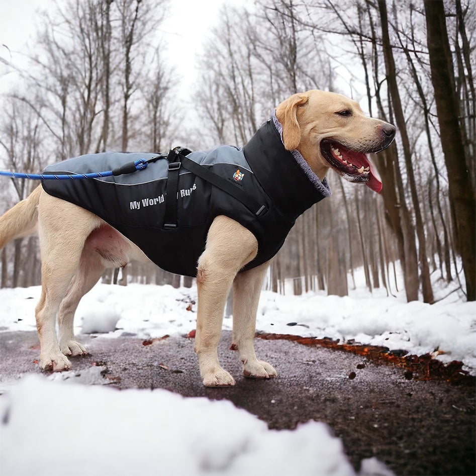 Vinterdekken til hund med refleks og integrert sele